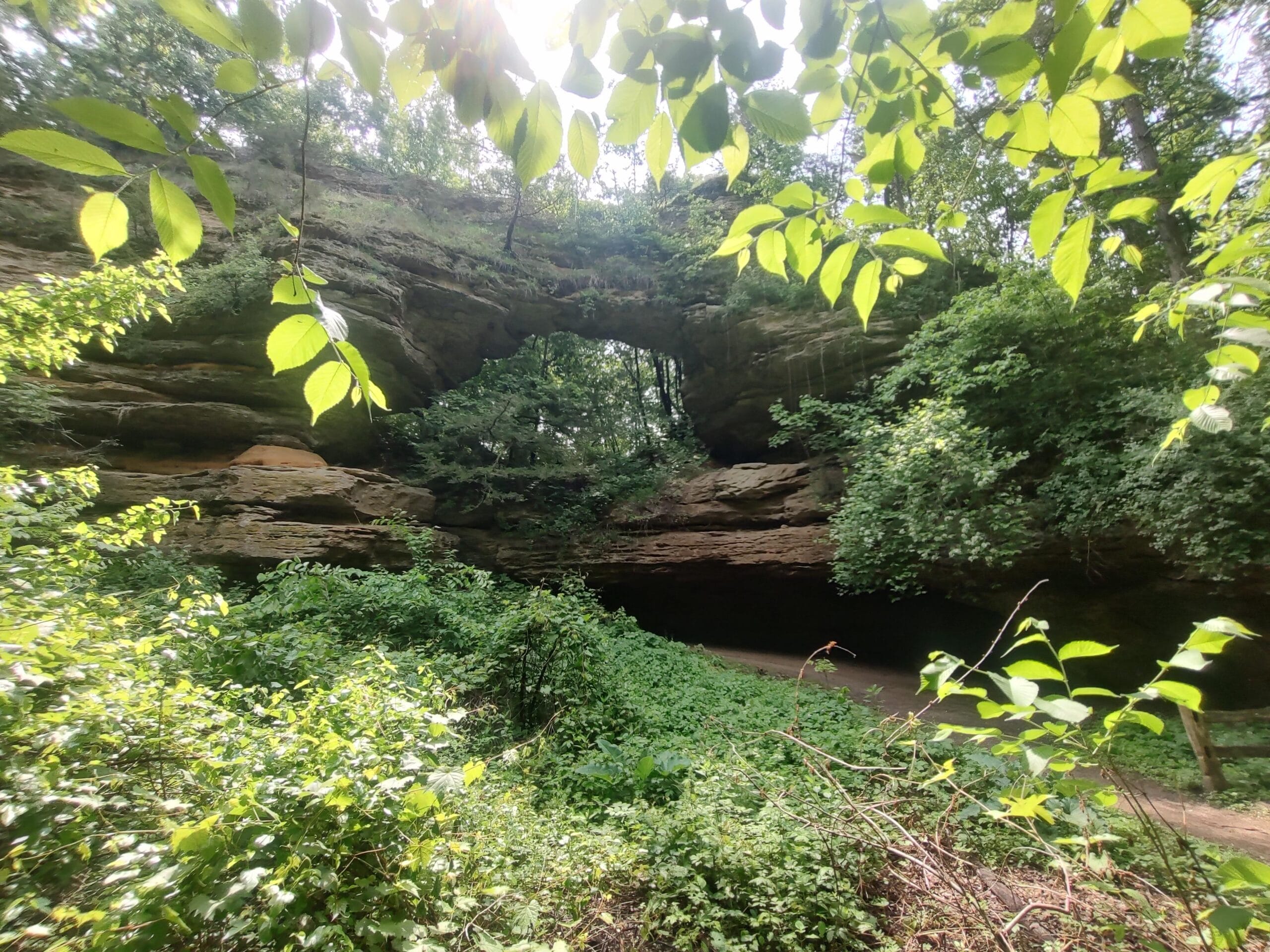 Natural Bridge State Park