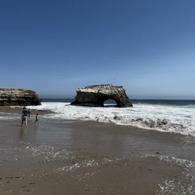 Natural Bridges State Beach