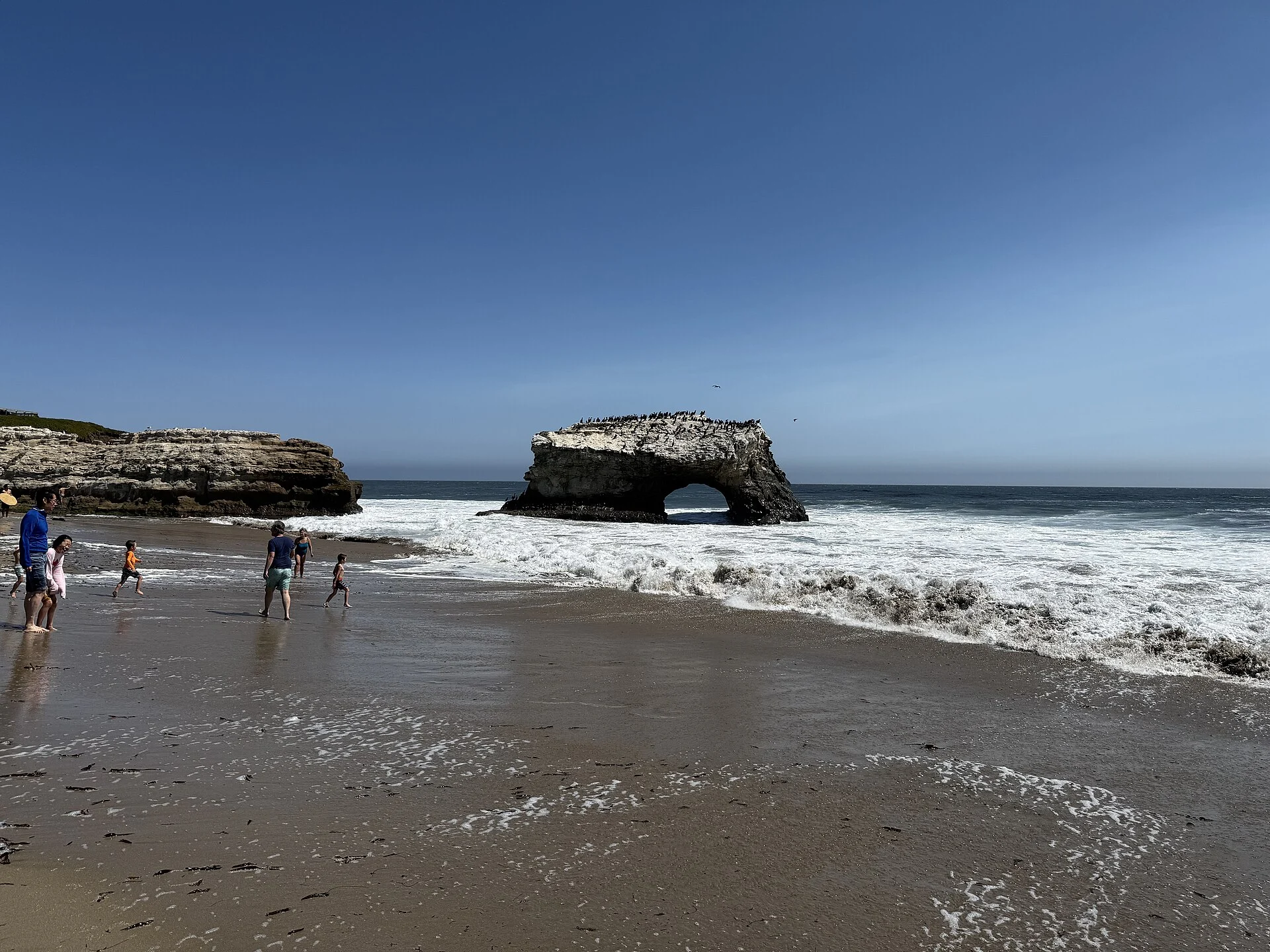 Natural Bridges State Beach
