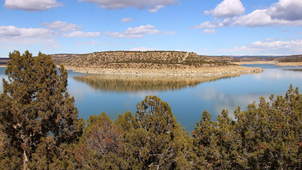 Navajo Lake State Park (New Mexico)
