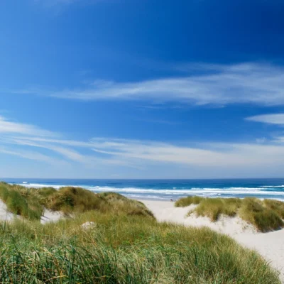 Nehalem Bay State Park