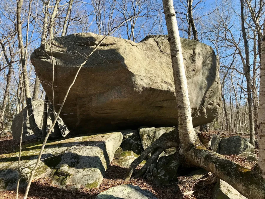 Nehantic State Forest (Connecticut)