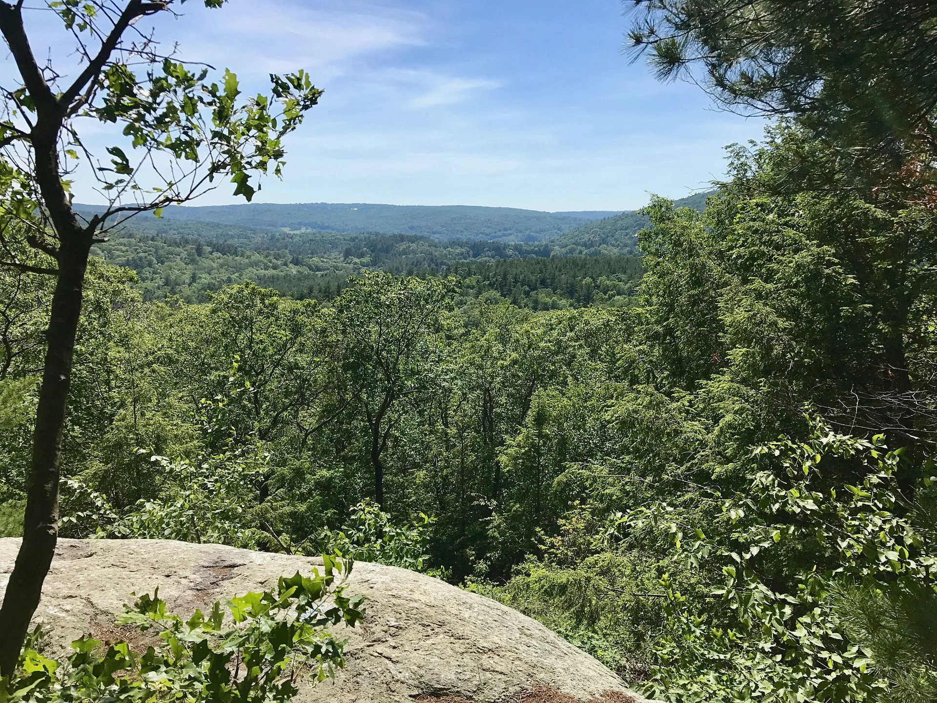 Nepaug State Forest