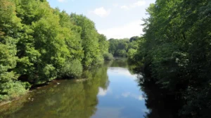 Neponset River Reservation