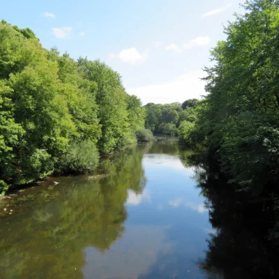 Neponset River Reservation