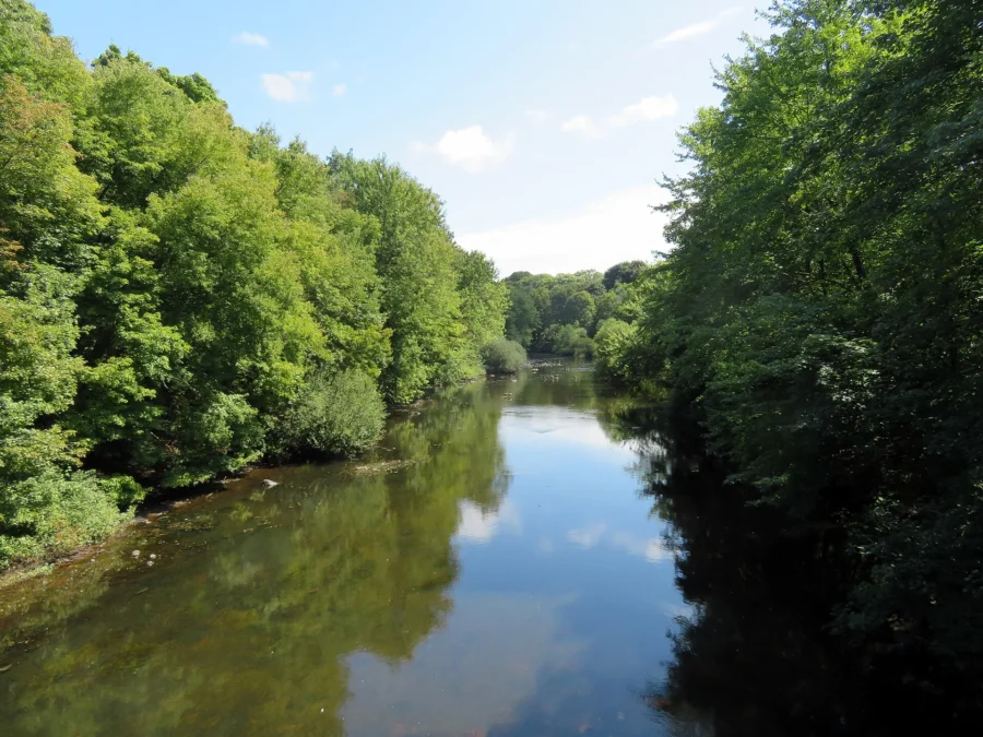 Neponset River Reservation (Massachusetts)