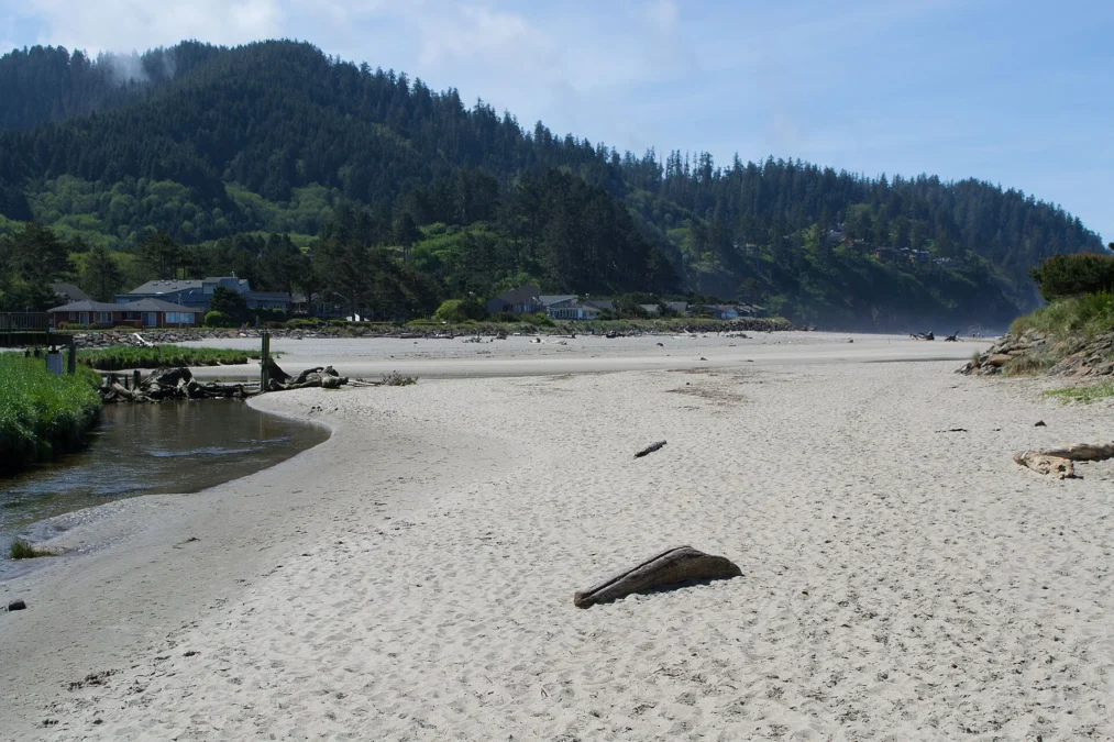 Neskowin Beach State Recreation Site (Oregon)