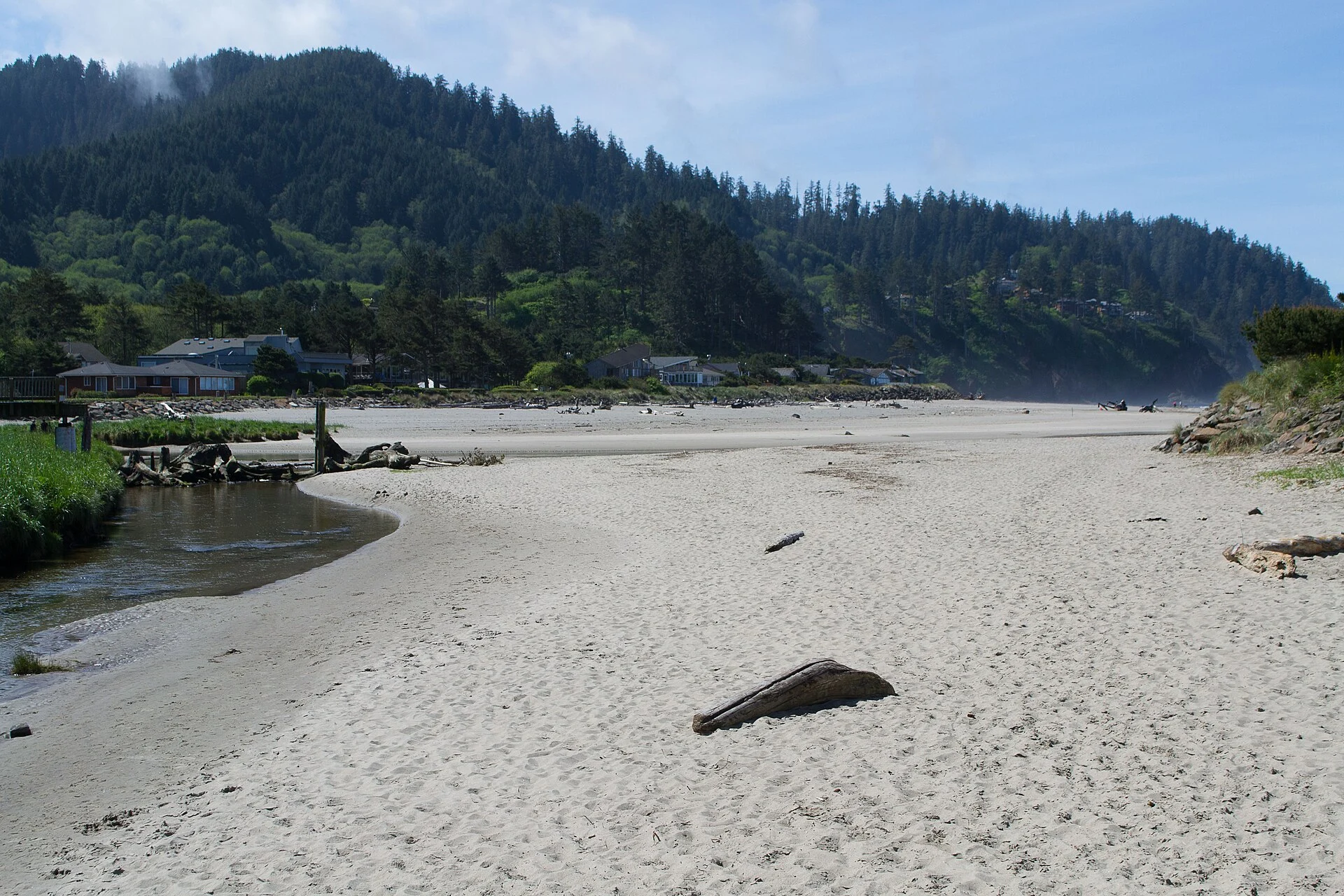 Neskowin Beach State Recreation Site
