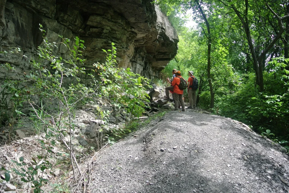 Niagara Gorge Trail (New York)