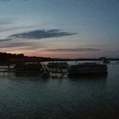 North Higgins Lake State Park