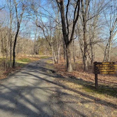 Nye-Holman State Forest