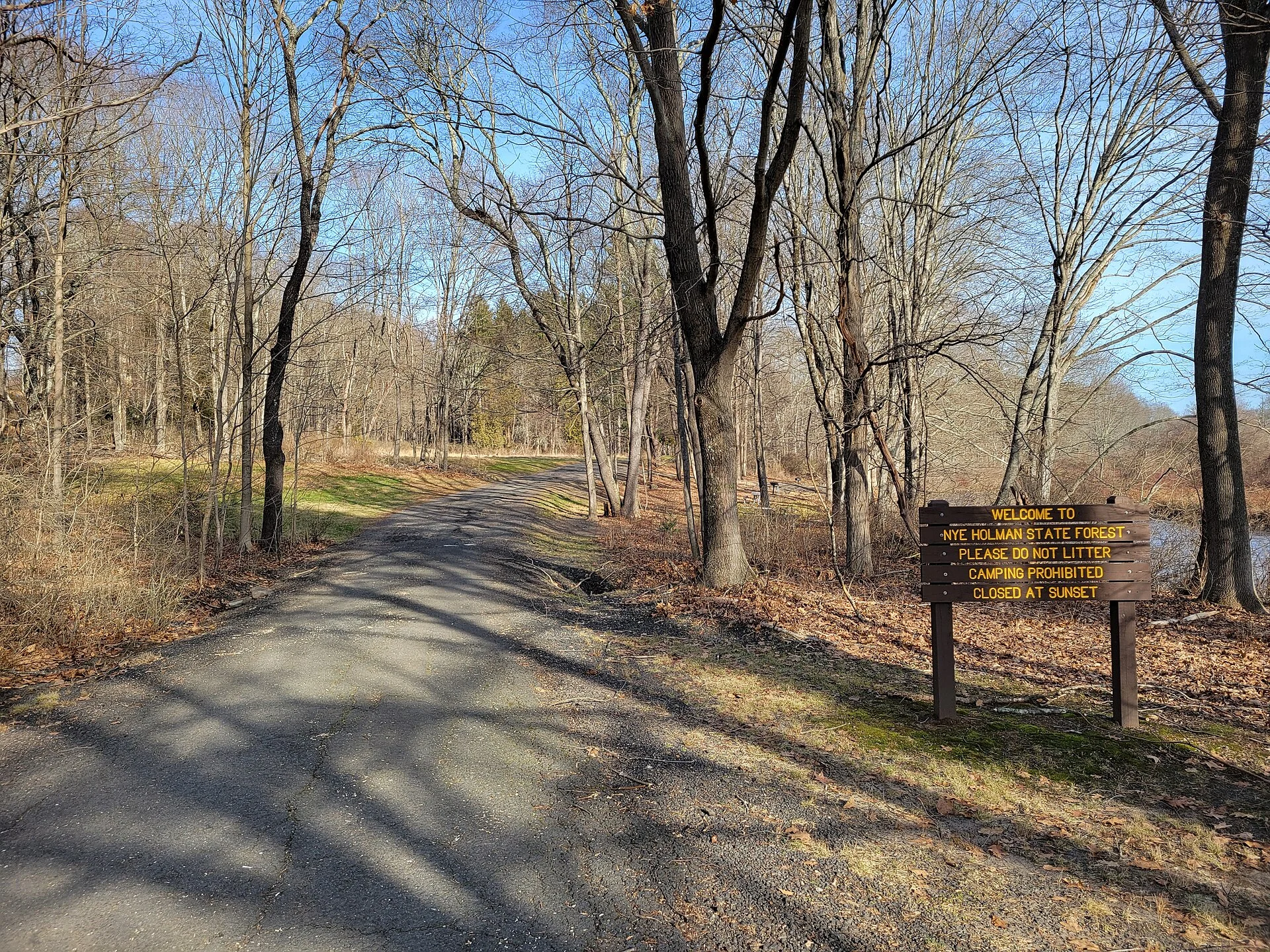 Nye-Holman State Forest