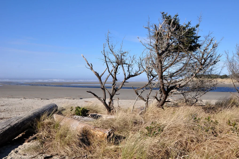 Ona Beach State Park (Oregon)