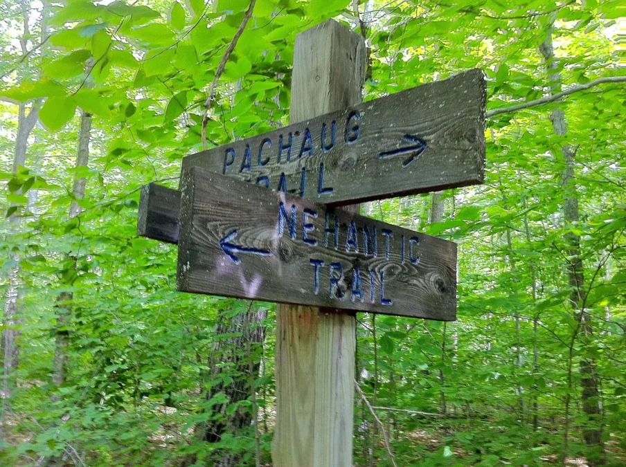 Pachaug State Forest (Connecticut)
