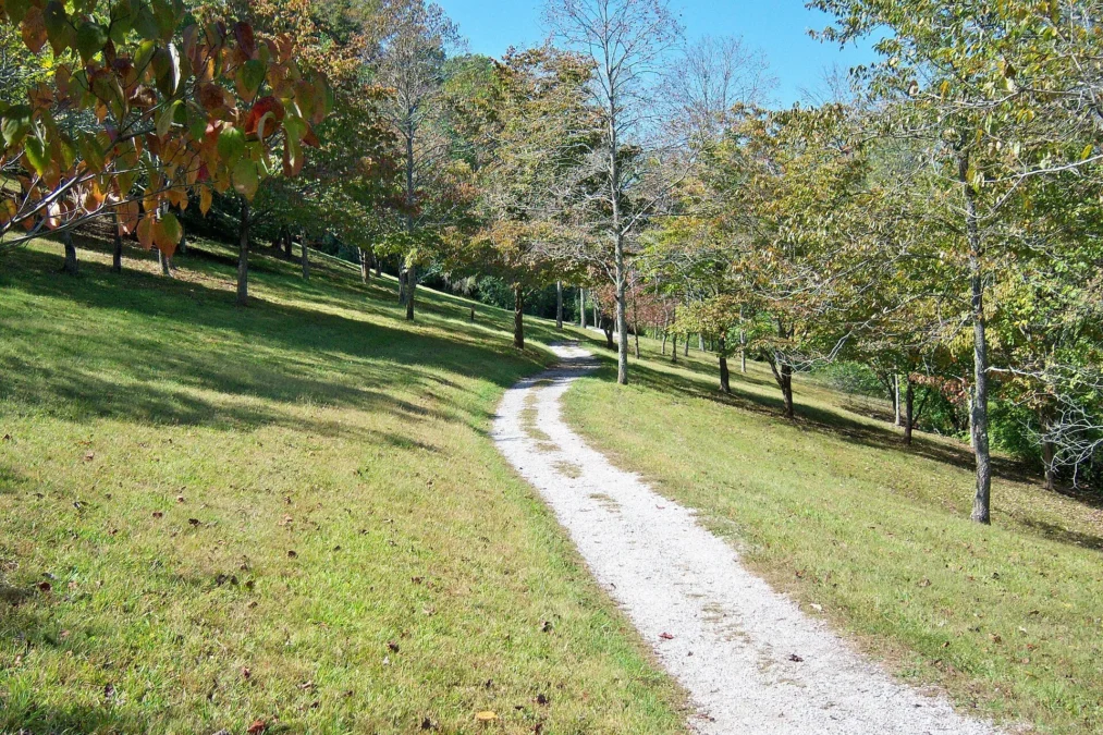 Paintsville Lake State Park (Kentucky)