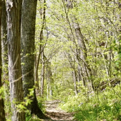 Palisades-Kepler State Park