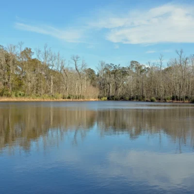 Palmetto Island State Park