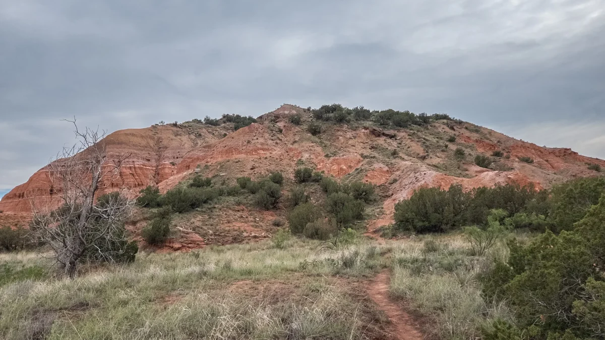 Palo Duro Canyon State Park 77 Red-banded sandstone hill dotted with junipers above a grassy trail in Palo Duro Canyon State Park, Texas