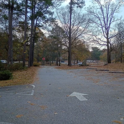 Panola Mountain State Park