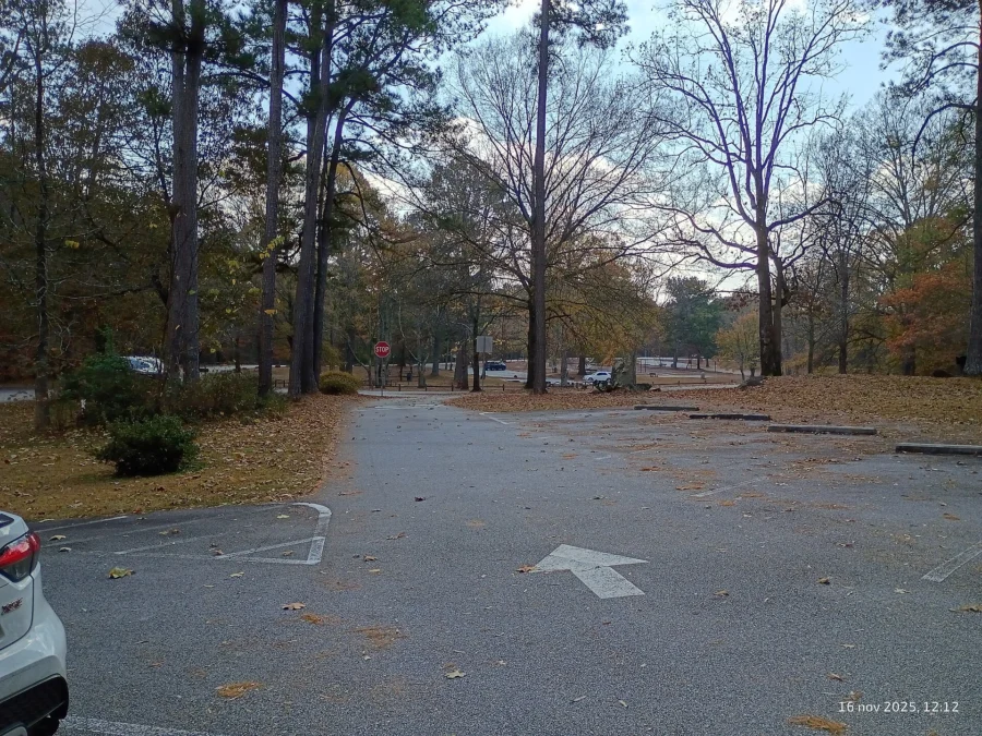 Panola Mountain State Park (Georgia)