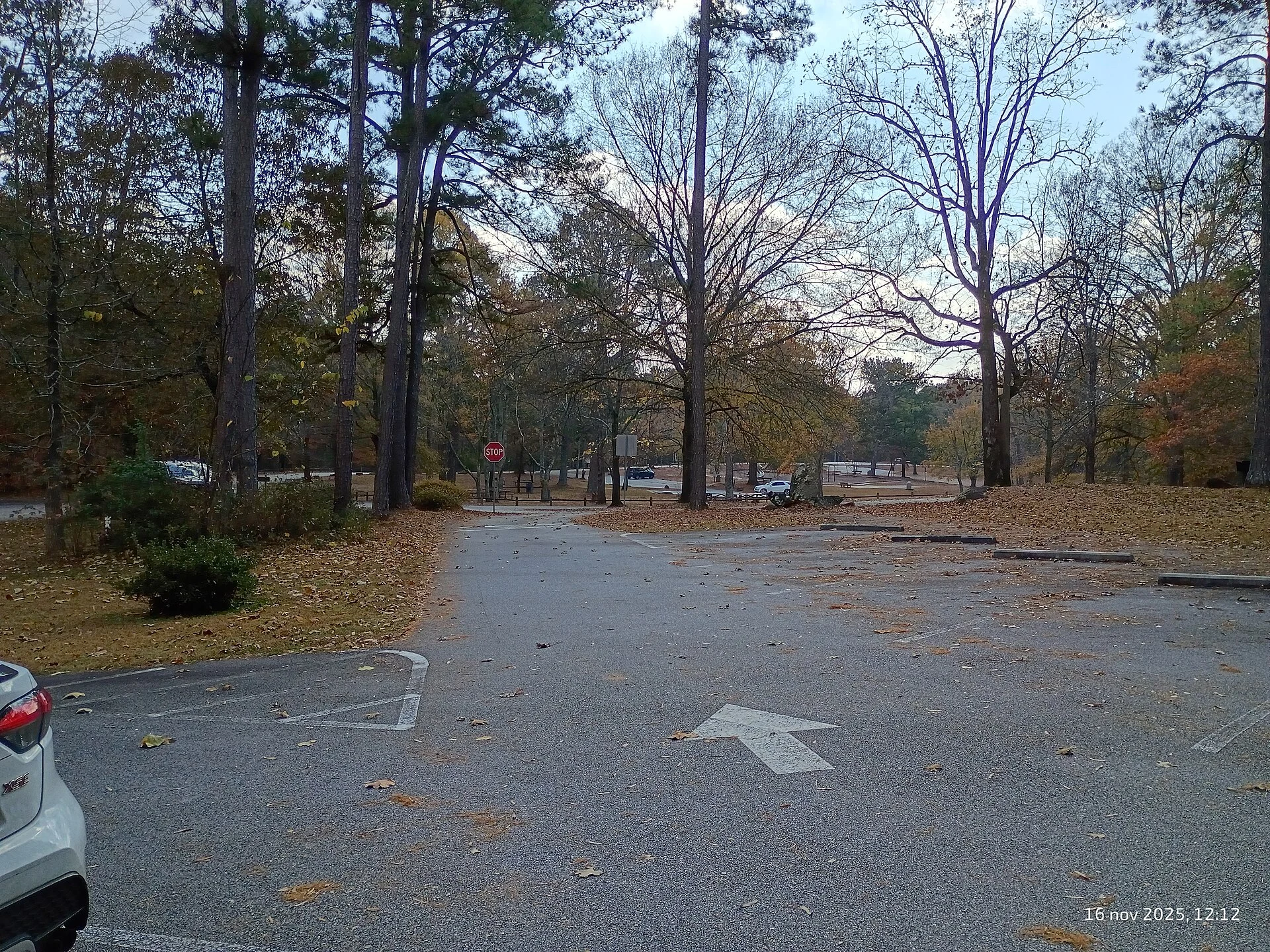Panola Mountain State Park