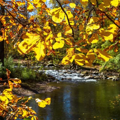 Patapsco Valley State Park