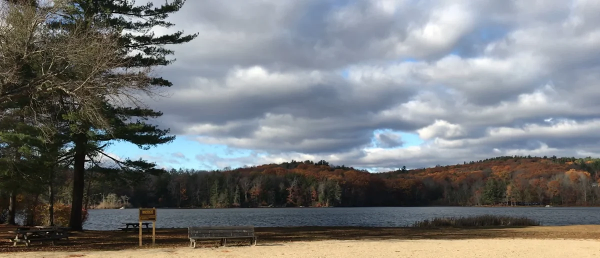 Paugnut State Forest (Connecticut)