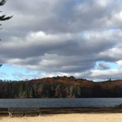 Paugnut State Forest
