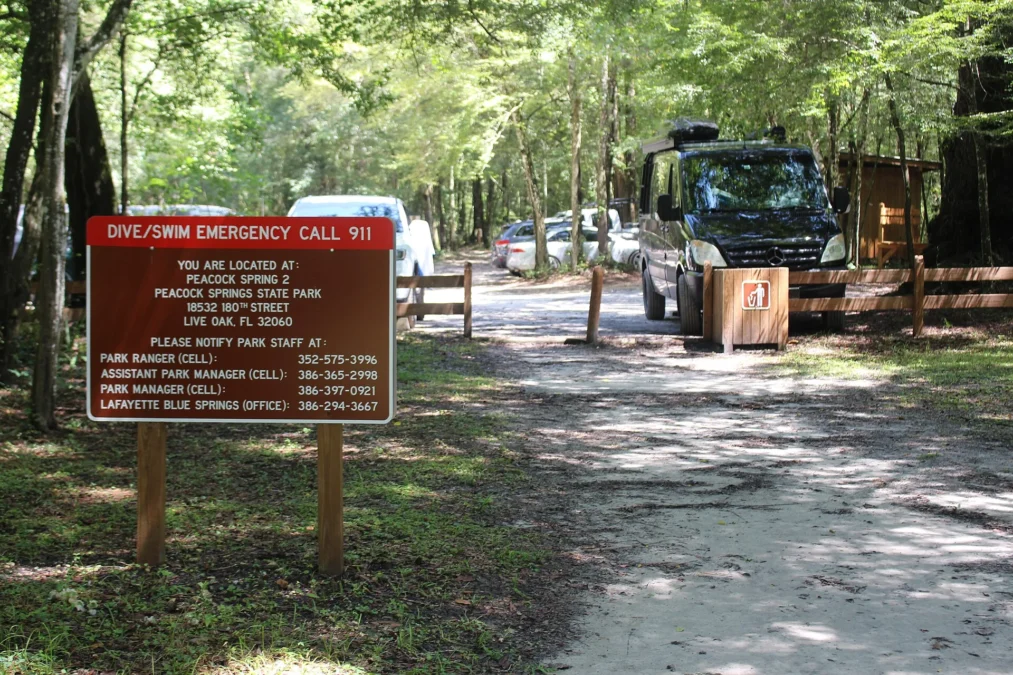 Peacock Springs State Park (Florida)