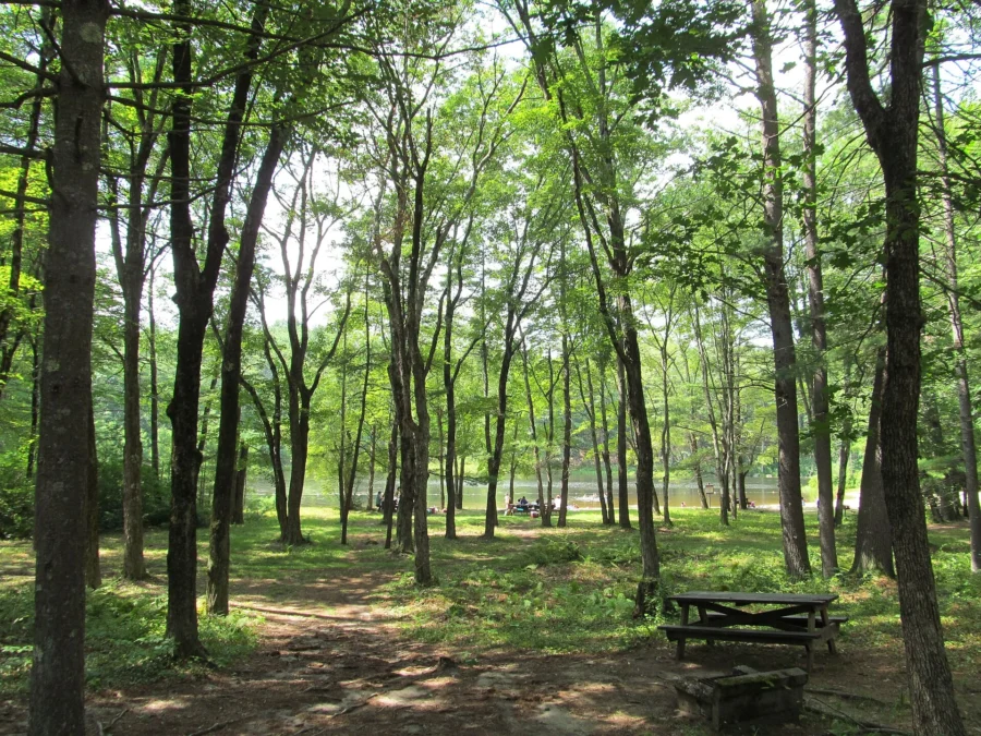 Pearl Hill State Park (Massachusetts)