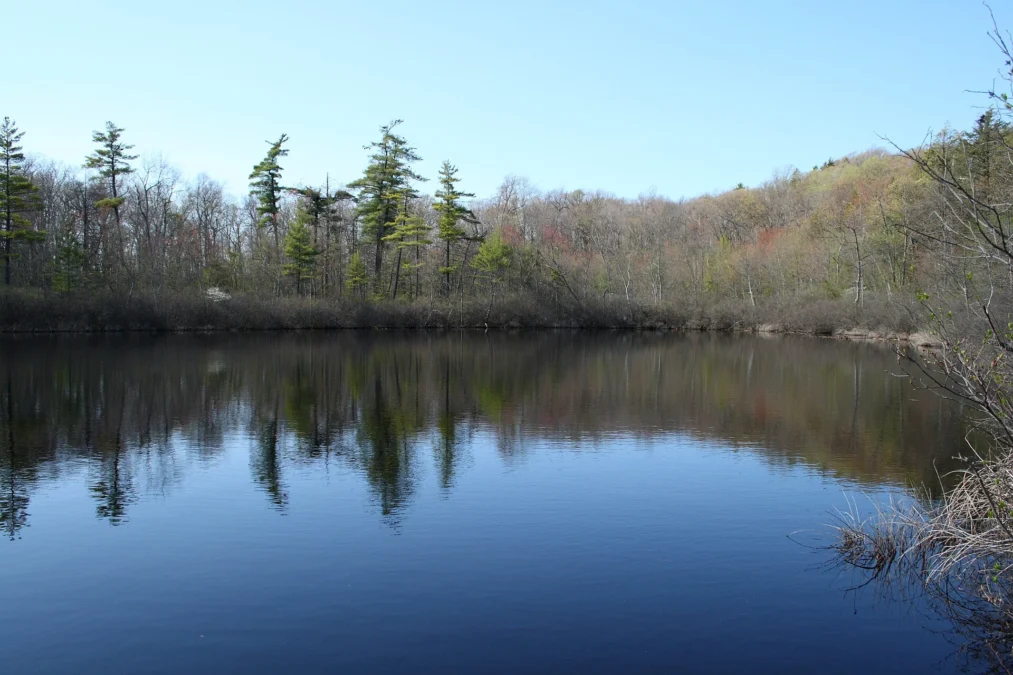 Penwood State Park (Connecticut)