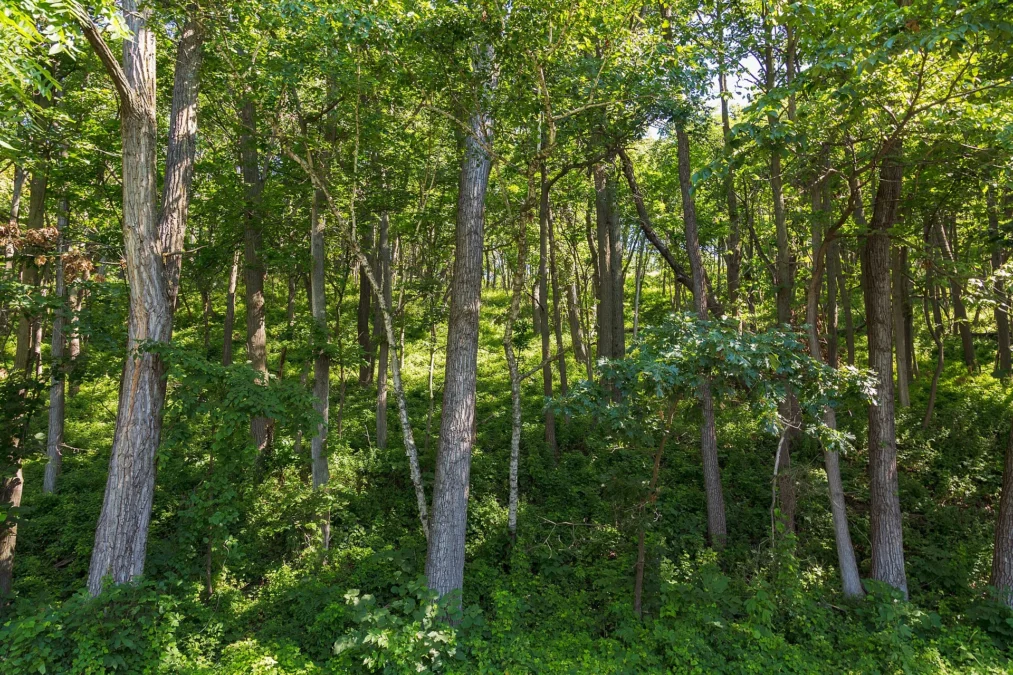 Perrot State Park (Wisconsin)