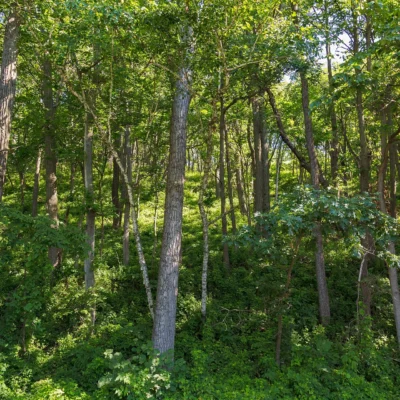 Perrot State Park