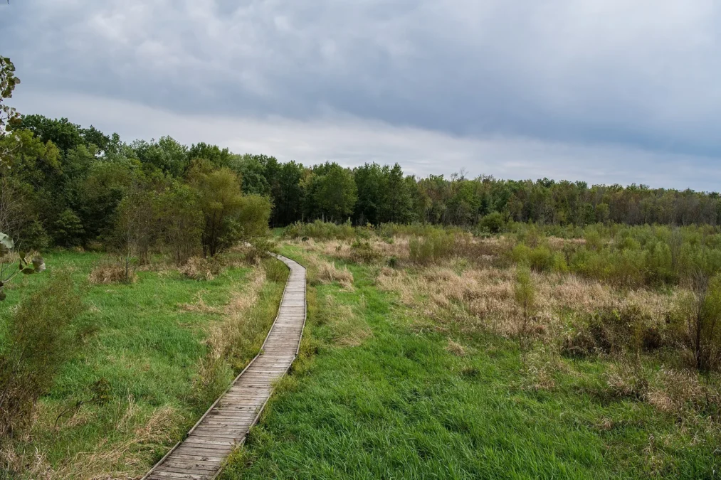 Pershing State Park 23 Boardwalk trail through the wetlands of Pershing State Park, Missouri
