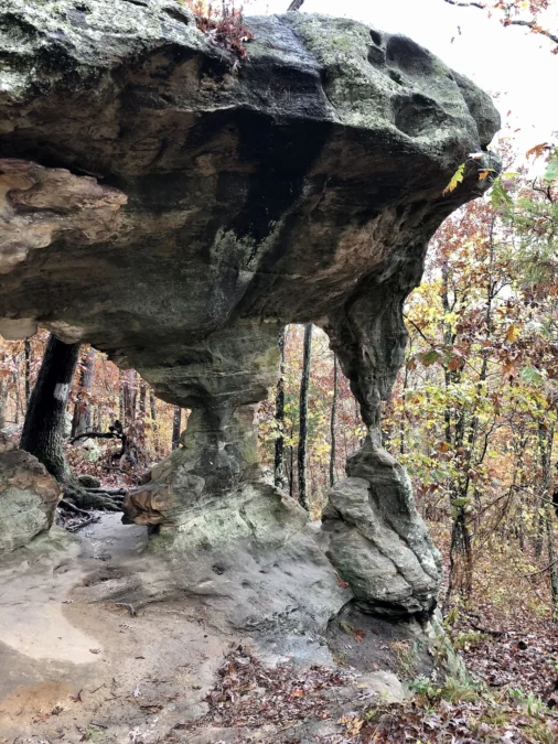 Sandstone formations along the trail at Pickle Springs Natural Area, Missouri