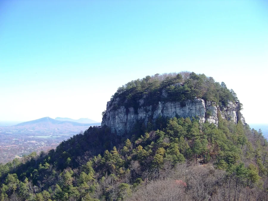 Pilot Mountain State Park 46 The Big Pinnacle of Pilot Mountain rising above the forest, North Carolina