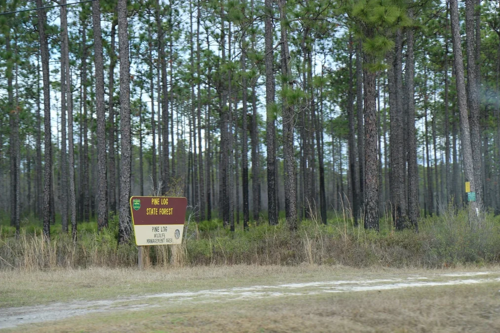 Pine Log State Forest (Florida)