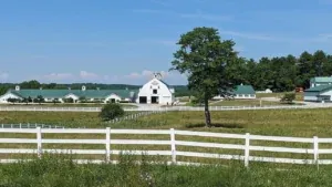 Pineland