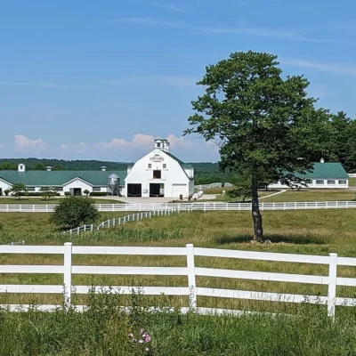 Pineland