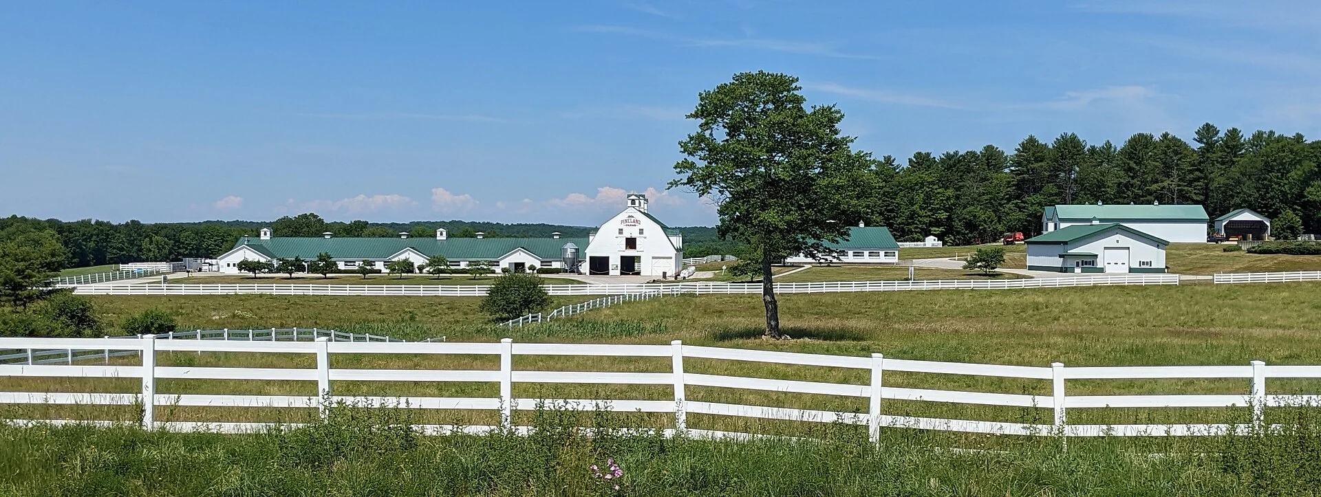 Pineland