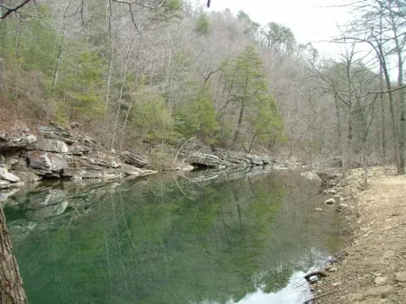 Piney Falls State Natural Area 50 Piney Falls State Natural Area (Tennessee)