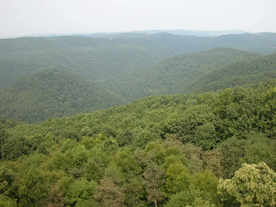 Pipestem Resort State Park 6 Rolling forested ridges of the Bluestone River area seen from Pipestem Resort State Park, West Virginia