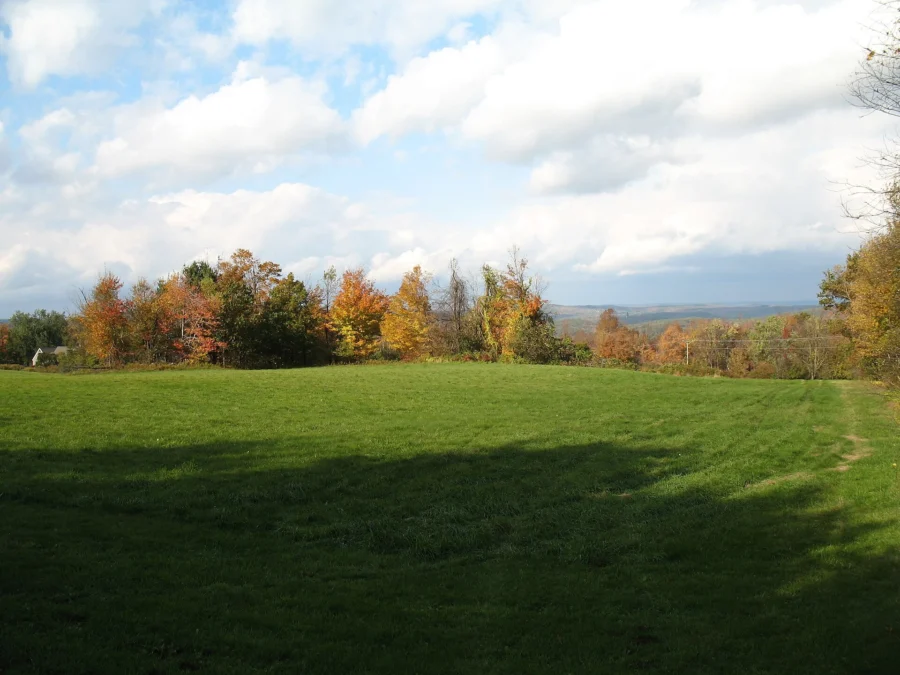 Platt Hill State Park (Connecticut)