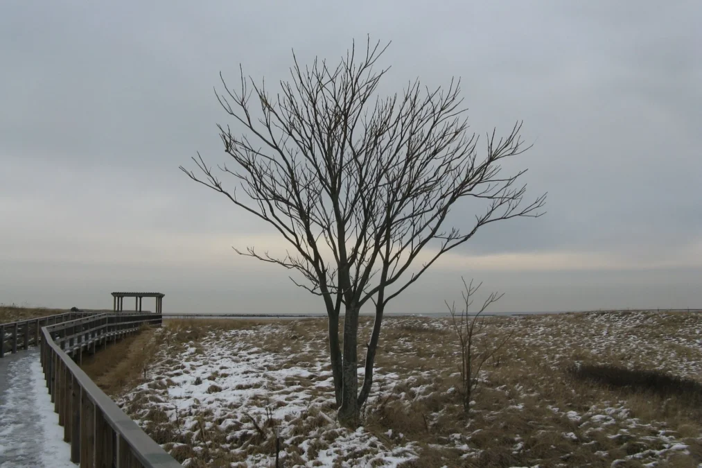 Plum Island State Reservation (Massachusetts)