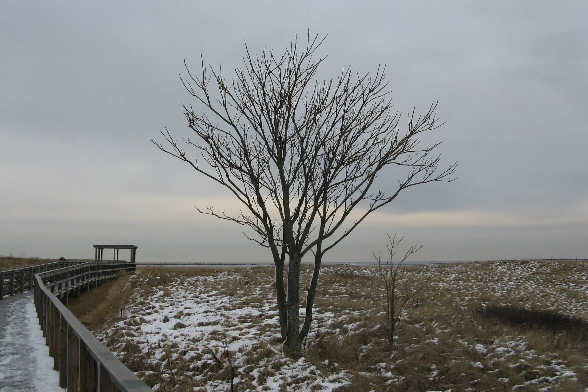 Plum Island State Reservation