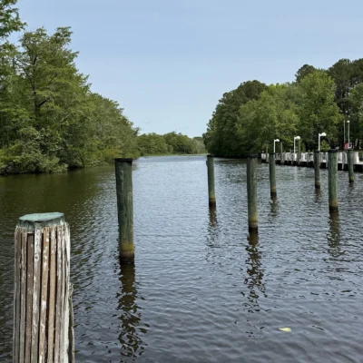 Pocomoke River State Park