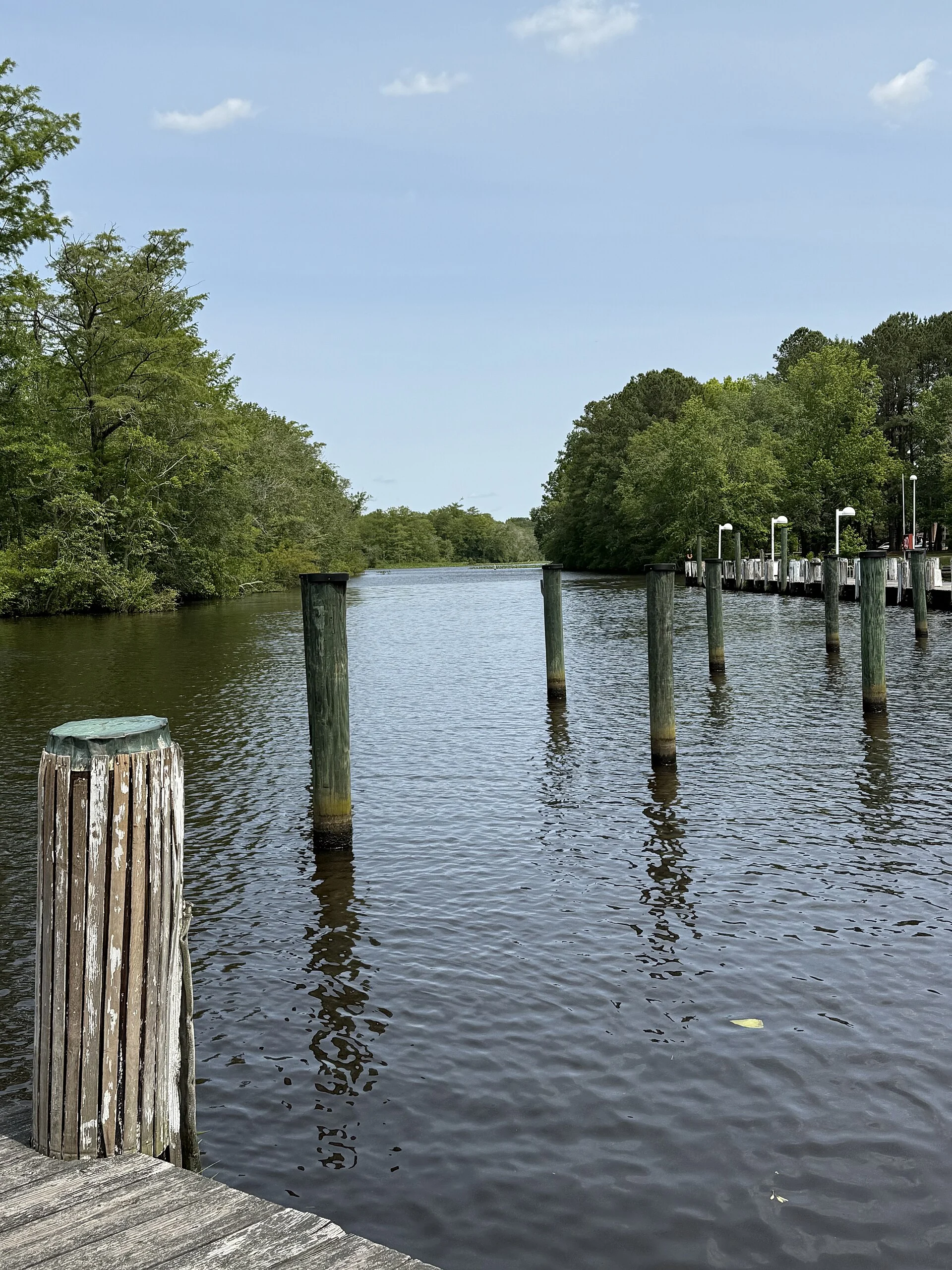 Pocomoke River State Park
