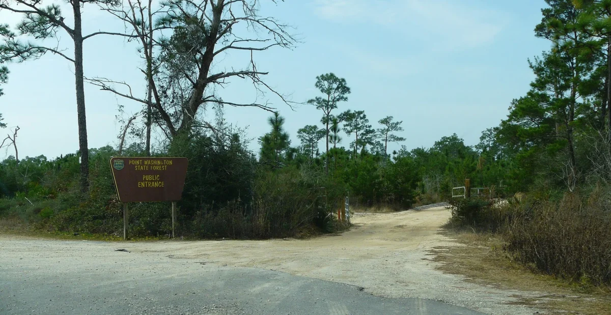 Point Washington State Forest (Florida)