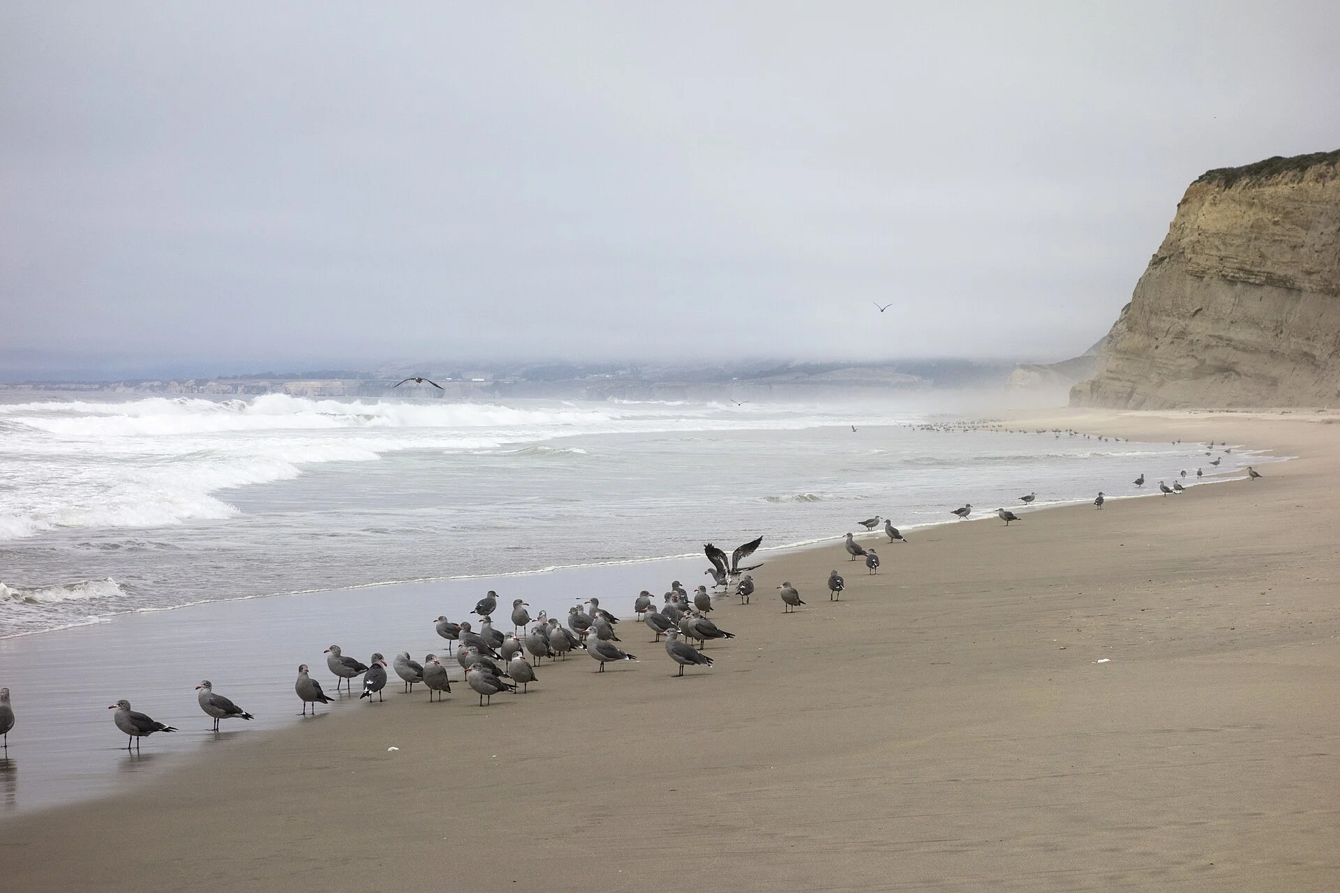 Pomponio State Beach