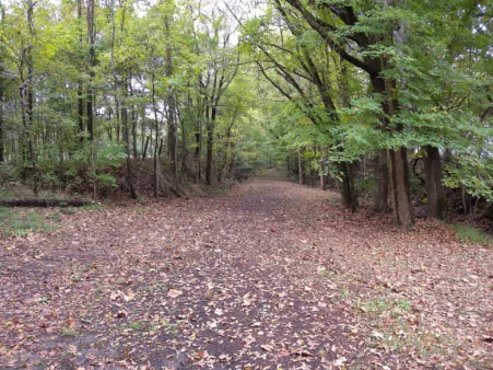 Port Royal State Historic Site 52 Historic trail trace at Port Royal State Historic Park in Adams, Tennessee